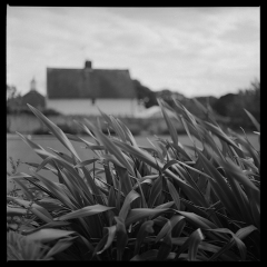 file1905